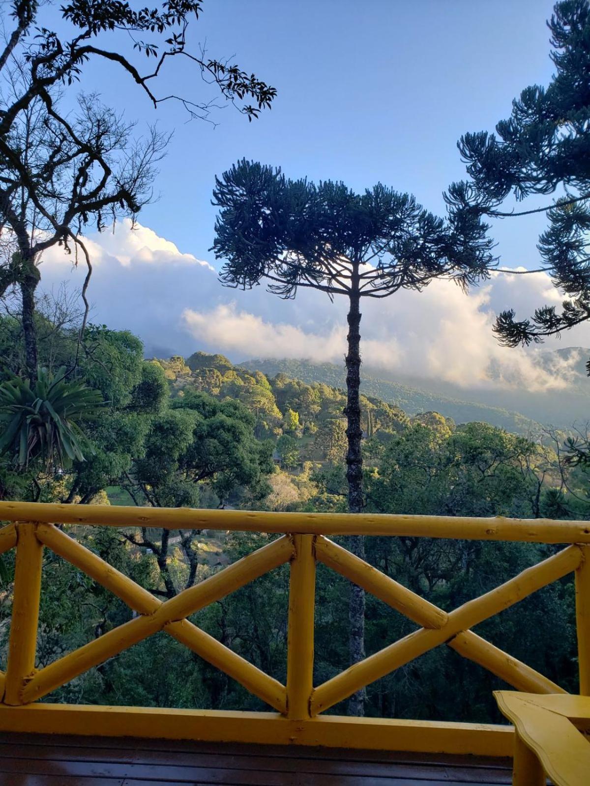 Hotel Pousada Paraiso Das Araucarias Monte Verde  Zewnętrze zdjęcie