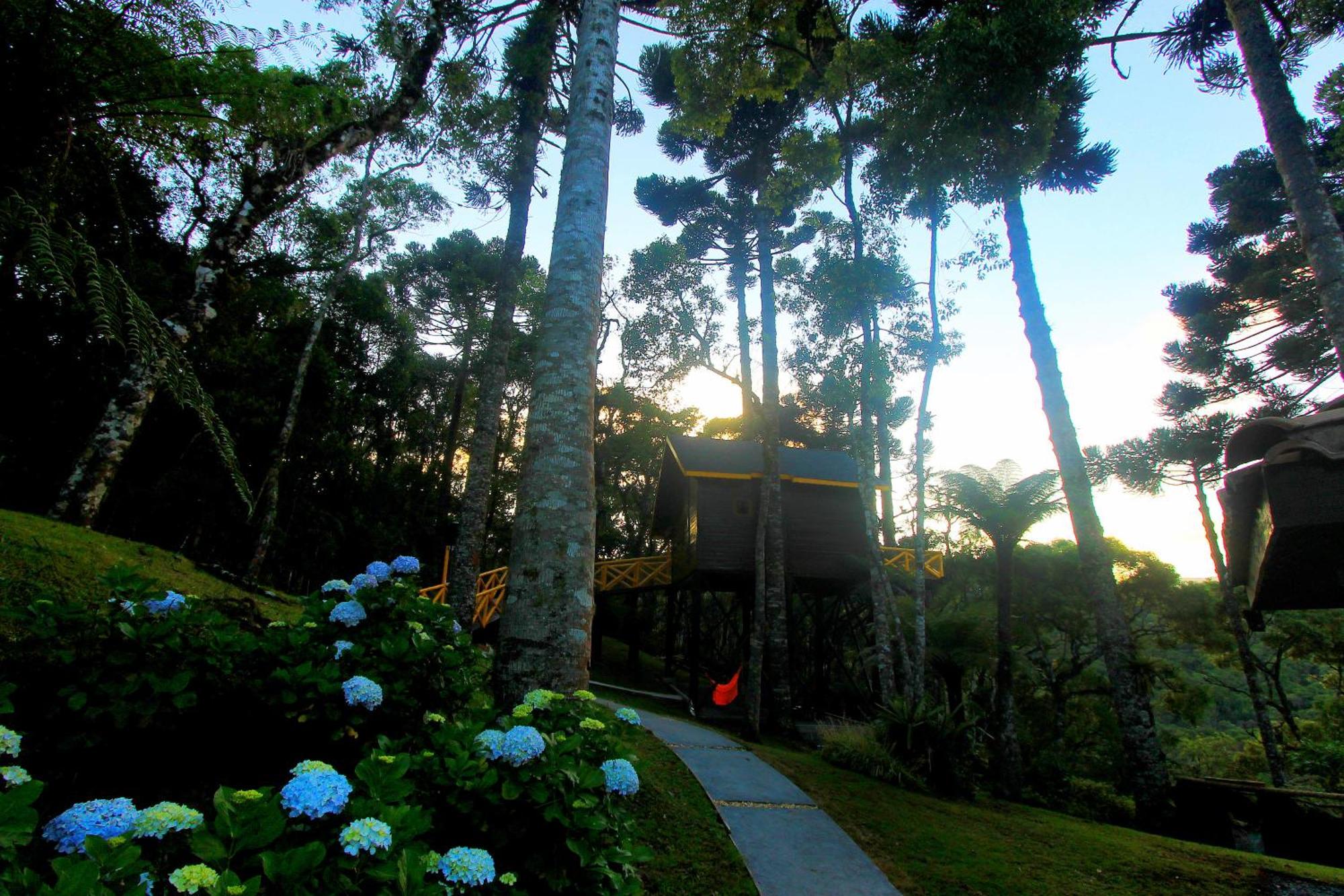 Hotel Pousada Paraiso Das Araucarias Monte Verde  Zewnętrze zdjęcie