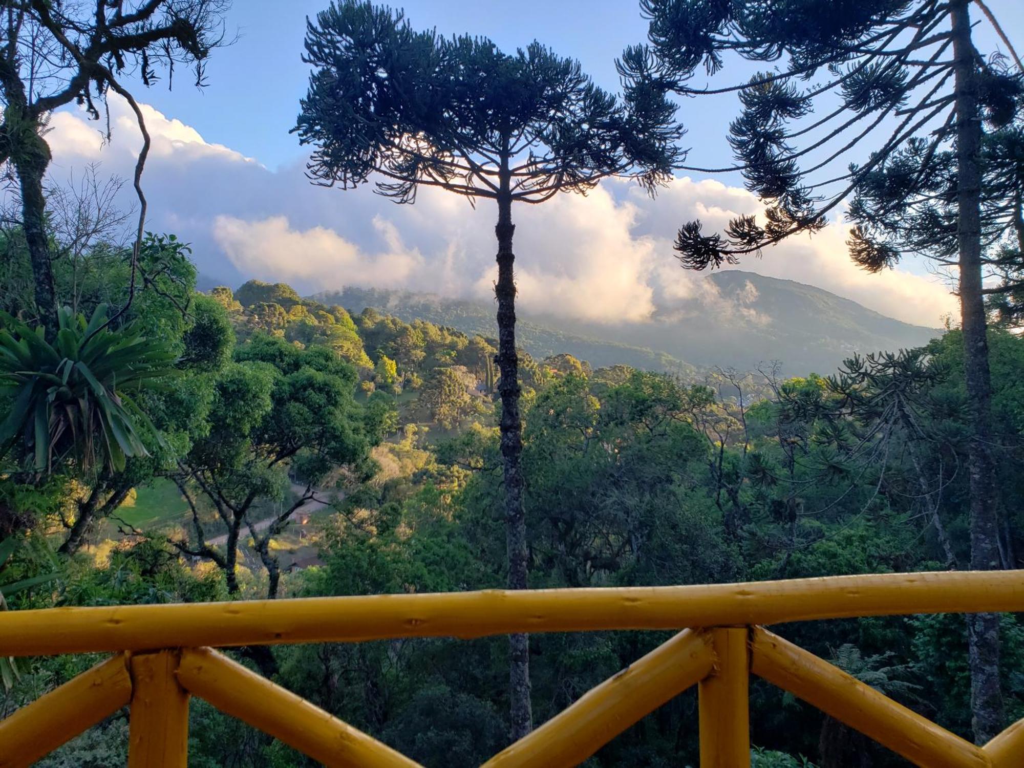 Hotel Pousada Paraiso Das Araucarias Monte Verde  Zewnętrze zdjęcie